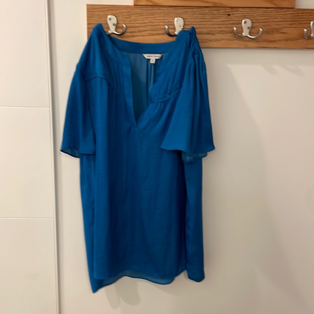 Naked zebra blue work top